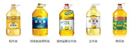 半自動(dòng)食用油灌裝機(jī)